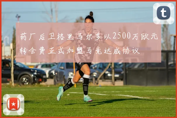 药厂后卫格里马尔多以2500万欧元转会费正式加盟马竞达成协议