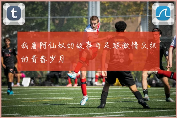 我看阿仙奴的故事与足球激情交织的青春岁月